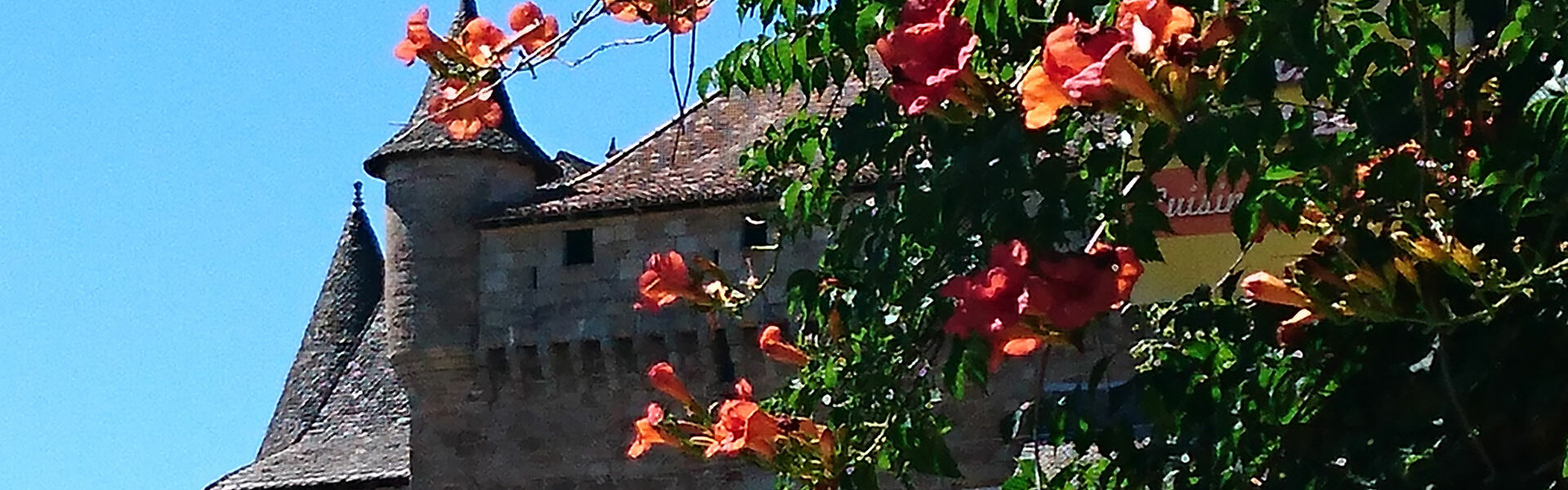 Mairie Commune Municipal Lot Occitanie Château Église